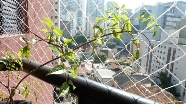 Imóvel à venda na Rua Barata Ribeiro Bela Vista em São Paulo SP